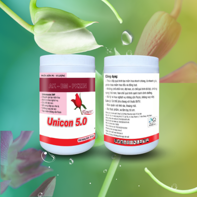 PHÂN BÓN PK VI LƯỢNG